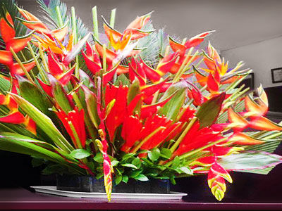 Aj Ferial Hotel Bogota